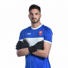 გიორგი მამარდაშვილი